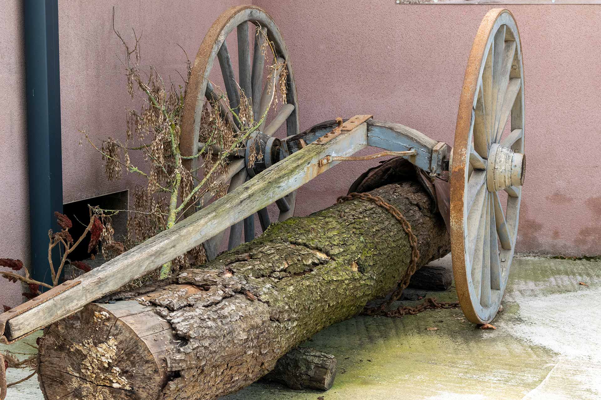 Ancien attelage utilisé pour le transport des troncs de bois